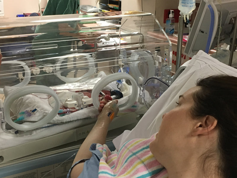 The Story of Mini Miracle, Eloise