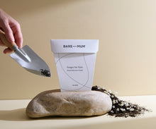 Load image into Gallery viewer, Remembrance Seeds