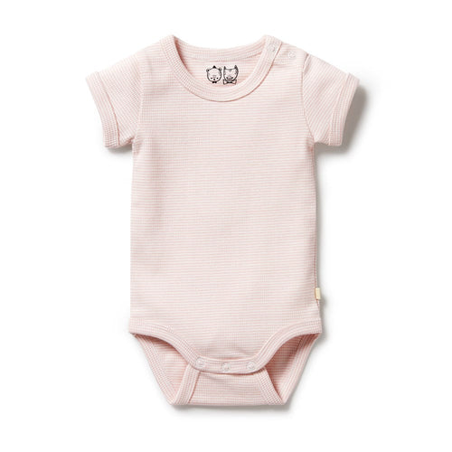 Organic Stripe Rib Bodysuit - Cantaloupe