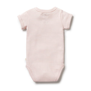 Organic Stripe Rib Bodysuit - Cantaloupe