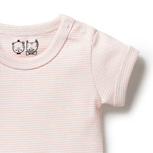 Load image into Gallery viewer, Organic Stripe Rib Bodysuit - Cantaloupe