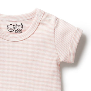 Organic Stripe Rib Bodysuit - Cantaloupe