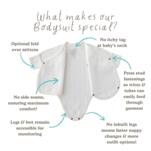 Load image into Gallery viewer, Earlybirds Pointelle Long Sleeve Bodysuit