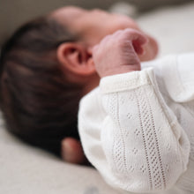 Load image into Gallery viewer, Earlybirds Pointelle Long Sleeve Bodysuit