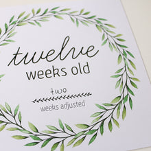 Load image into Gallery viewer, NEW &#39;We&#39;re Growing!&#39; Twin Age Premature Baby Milestone Cards