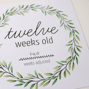 'I'm Growing!' (Eucalyptus) Age Premature Baby Milestone Cards