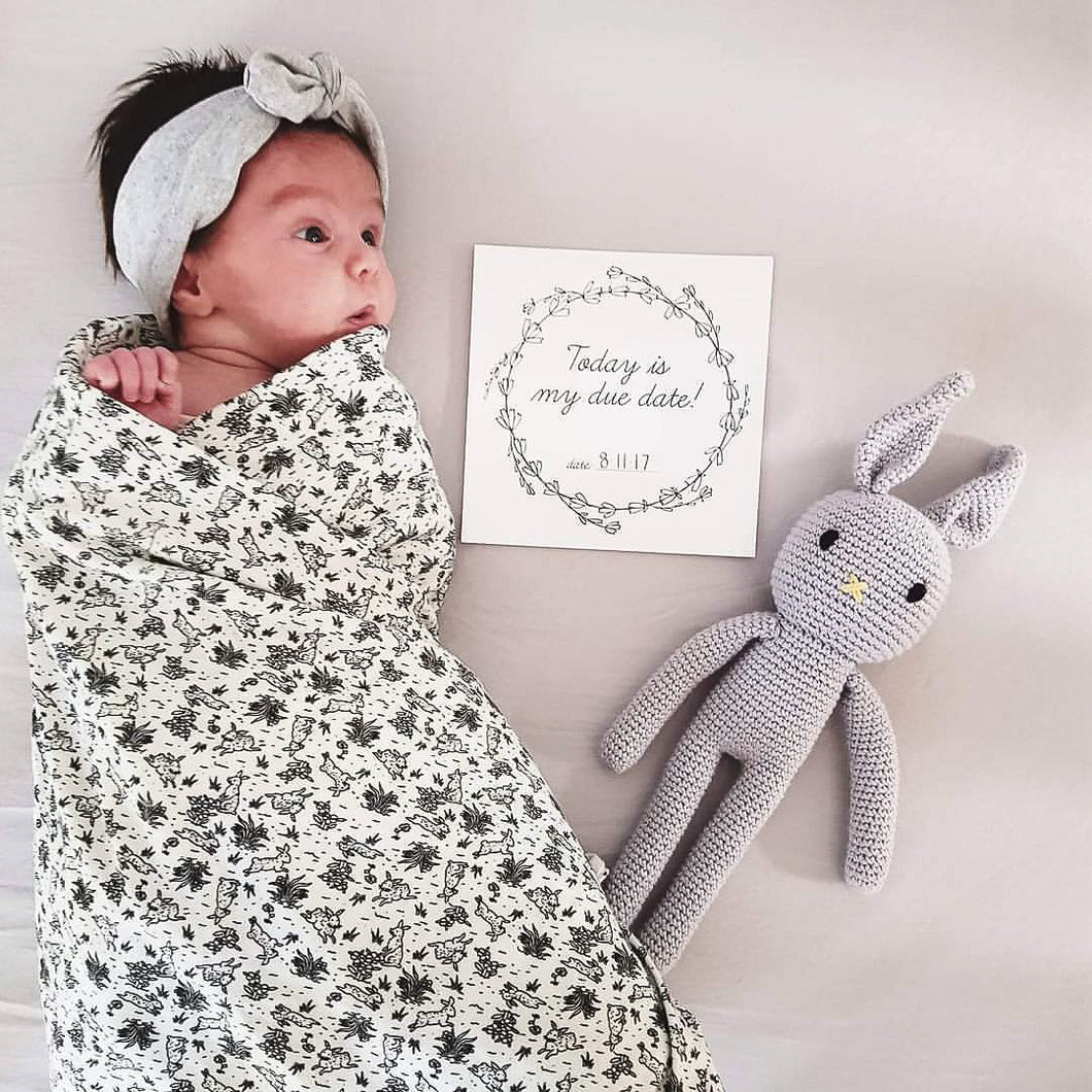 Premature Baby Premmie NICU Milestone Cards Gift